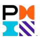 Project Management Institute (PMI)